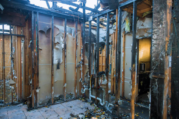 Professional Soot Cleanup technician working in Lochsloy, WA